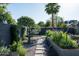 Beautiful backyard featuring a fountain, stone pavers, lush plants and a mature palm tree at 8037 E Krail St, Scottsdale, AZ 85250