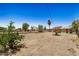 A large backyard with sparse landscaping, a tree, and perimeter fencing at 8101 E 4Th Ave, Mesa, AZ 85208