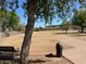 Picturesque park featuring an open grassy area with a mature shade tree and amenities for community enjoyment at 8326 E Valley View Rd, Scottsdale, AZ 85250
