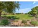 A view of a community park with grass, trees and bushes at 8931 W Alex Ave, Peoria, AZ 85382