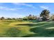 Expansive golf course view showcasing lush green fairways and mature trees in the community at 896 N Kingston St, Gilbert, AZ 85233