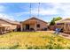 Wide angle shot of a spacious backyard with grass, play equipment, and overhead string lights at 13022 W Cherry Hills Dr, El Mirage, AZ 85335