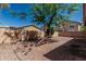 Fenced backyard featuring a tree and low-maintenance gravel landscaping at 15941 N 171St Ln, Surprise, AZ 85388