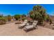 Relaxing backyard with a fire pit, mature landscaping, and comfortable lounge chairs at 20211 N Winter Escape Ct, Maricopa, AZ 85138
