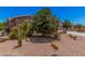 Well-maintained front yard with desert landscaping and mature trees offering shade at 20211 N Winter Escape Ct, Maricopa, AZ 85138