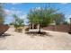 Spacious backyard featuring a block fence, trees and a covered patio at 23772 W Grove St, Buckeye, AZ 85326