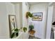 Hallway nook with decorative plants and artwork, creating a cozy and inviting space at 4925 W Bluefield Ave, Glendale, AZ 85308