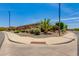 Beautiful landscaping at street corner with mature palm trees, flowering shrubs, and decorative rock at 5085 S Ponderosa Dr, Gilbert, AZ 85298