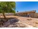 Large backyard featuring a concrete patio, mature tree, and plenty of space for outdoor activities at 548 W Linda Ln, Chandler, AZ 85225
