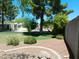 Spacious backyard featuring lush greenery, mature trees, and a well-maintained lawn at 6139 E Voltaire Ave, Scottsdale, AZ 85254