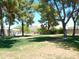 Well-maintained backyard with mature trees, grass, and swimming pool, perfect for entertaining and relaxing at 6139 E Voltaire Ave, Scottsdale, AZ 85254