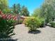 Exterior view with lush landscaping featuring colorful blooming bushes surrounding the property at 6139 E Voltaire Ave, Scottsdale, AZ 85254