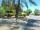 Landscaped street view showcases mature trees and colorful flowers enhancing the property's charm at 6139 E Voltaire Ave, Scottsdale, AZ 85254