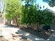 Mature fruit trees in backyard, complete with path and block wall at 6139 E Voltaire Ave, Scottsdale, AZ 85254