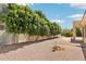 The backyard is surrounded by mature trees and has low-maintenance desert landscaping at 6781 W Lone Cactus Dr, Glendale, AZ 85308