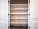 Spacious walk-in pantry with ample shelving space for organized storage at 7648 S Thimble Peak --, Gold Canyon, AZ 85118