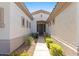 Inviting entryway with a pathway flanked by green shrubbery and decorative stone at 1680 S Arroyo Ln, Gilbert, AZ 85295