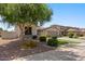 Beautiful single-story home with mature landscaping, including a large shade tree, offering curb appeal at 1680 S Arroyo Ln, Gilbert, AZ 85295