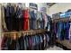 Spacious walk-in closet with multiple rows of clothing racks and shelving providing ample storage at 1680 S Arroyo Ln, Gilbert, AZ 85295
