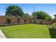 Landscaped backyard with turf and mature trees at 23081 S 223Rd Way, Queen Creek, AZ 85142