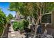 Charming backyard garden with raised planters and ample space for cultivating vegetables and flowers at 23081 S 223Rd Way, Queen Creek, AZ 85142