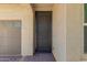 Close-up of front entrance featuring a stylish security door and brick pathway at 24746 N 171St Ln, Surprise, AZ 85387