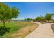 Scenic community pond view with walking path, lush green lawn, and mature shade trees at 24746 N 171St Ln, Surprise, AZ 85387