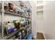 Walk-in pantry with wire shelving for optimal storage and organization at 25555 N Windy Walk Dr # 34, Scottsdale, AZ 85255