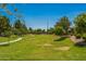 Lush community park with walking path, mature trees, and sprawling green space, ideal for recreation and relaxation at 277 E Kaibab Dr, Chandler, AZ 85249