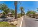 Tree-lined street view with well-maintained landscaping, providing a picturesque setting in a residential community at 277 E Kaibab Dr, Chandler, AZ 85249