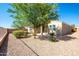 The backyard features low-maintenance desert landscaping, rock cover, and a covered patio space at 37252 N Big Bend Rd, San Tan Valley, AZ 85140