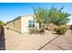 Fully landscaped backyard with gravel, small trees, and flowering bushes at 37252 N Big Bend Rd, San Tan Valley, AZ 85140