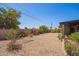 Expansive gravel backyard, perfect for low-maintenance landscaping and outdoor activities at 3825 W Royal Palm Rd, Phoenix, AZ 85051