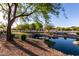 A peaceful community pond with a stone bridge and beautiful landscaping creating a serene atmosphere at 5212 S Seton Ct, Gilbert, AZ 85298