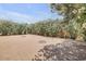 Spacious backyard with flowering bushes, offering a tranquil outdoor space at 6102 E Inglewood St, Mesa, AZ 85205