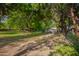 Spacious backyard showcasing mature trees, a pool, and ample shade at 8302 S Jentilly Ln, Tempe, AZ 85284