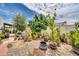 Landscaped backyard featuring vibrant plants, decorative elements, and gravel for a serene outdoor retreat at 919 E Villa Maria Dr, Phoenix, AZ 85022