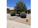 Lovely single-story house with a well-maintained yard, desert landscaping, and mature trees at 1040 W Juniper Ave, Gilbert, AZ 85233