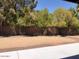 Desert landscaped backyard with mature trees, brick accents, and room for entertaining at 1156 E Vinedo Ln, Tempe, AZ 85284