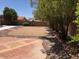 Beautiful desert landscaped backyard with mature trees and large patio area for entertaining at 1156 E Vinedo Ln, Tempe, AZ 85284