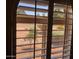 Window view featuring a well-maintained garden and landscaped exterior at 1156 E Vinedo Ln, Tempe, AZ 85284