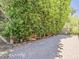 Brick paved backyard featuring lush greenery and privacy at 13064 N 100Th Pl, Scottsdale, AZ 85260