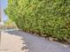 Brick paved backyard featuring lush greenery, privacy, and a pool at 13064 N 100Th Pl, Scottsdale, AZ 85260