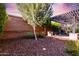 Landscaped backyard with trees, a brick wall, and a covered patio, enhanced by a beautiful sunset sky at 13448 W Miner Trl, Peoria, AZ 85383