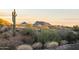 Scenic desert landscape with native plants and stunning mountain views, showcasing the natural beauty of the region at 13931 E Via Linda --, Scottsdale, AZ 85259