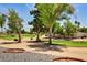 Beautiful golf course views with mature trees and lush greenery visible from the property at 19025 N 96Th Ave, Peoria, AZ 85382