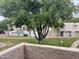 Well-maintained community grounds with lush trees, green grass, and convenient walkways at 1920 W Lindner Ave # 222, Mesa, AZ 85202