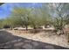 Beautifully xeriscaped backyard with mature trees, desert plants, and decorative rock at 19714 N Concord Dr, Surprise, AZ 85374