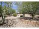 Desert backyard featuring low-maintenance landscaping, rock accents, and mature trees at 19714 N Concord Dr, Surprise, AZ 85374