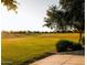 Expansive green field is surrounded by trees and offers plenty of room for outdoor activities at 2623 E Indigo Pl, Chandler, AZ 85286